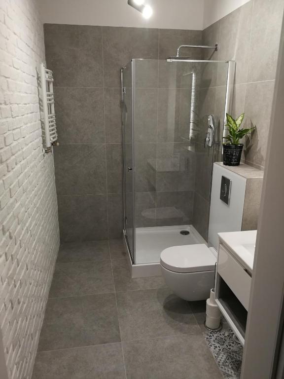 Apartamenty Muzyczna 14 - Appartement Met één Slaapkamer