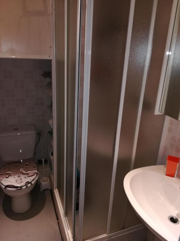 a bathroom with a shower and a toilet and a sink at Le Malte in Menton
