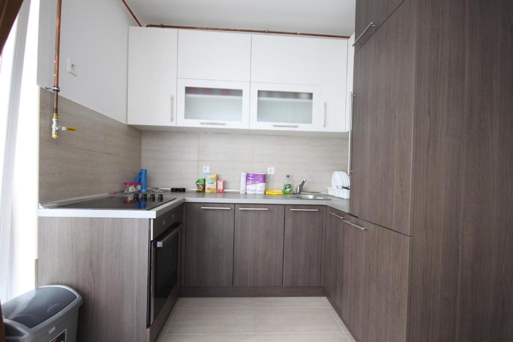 Kuchyň nebo kuchyňský kout v ubytování Sarajevo Apartments
