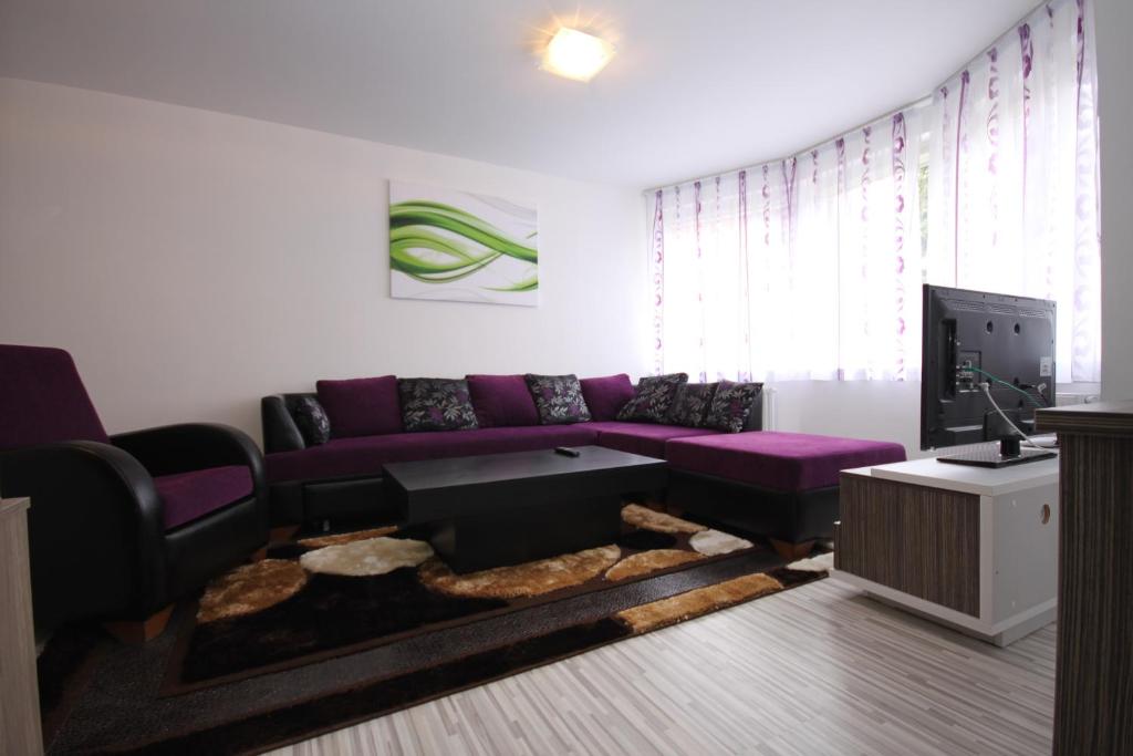 TV a/nebo společenská místnost v ubytování Sarajevo Apartments