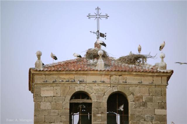 A Toca Casas Rurales en Turegano Segovia - Casa De Dos Dormitorios