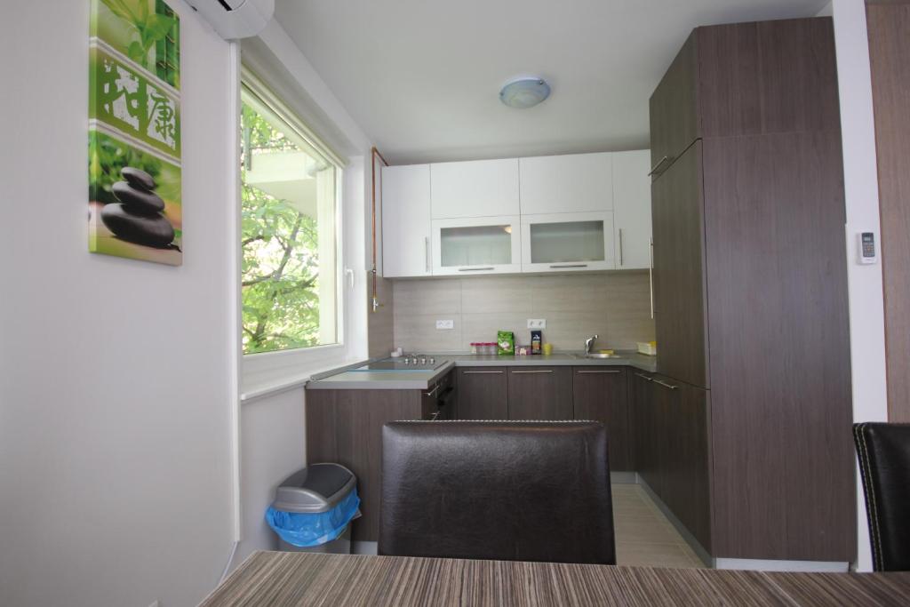 Kuchyň nebo kuchyňský kout v ubytování Sarajevo Apartments