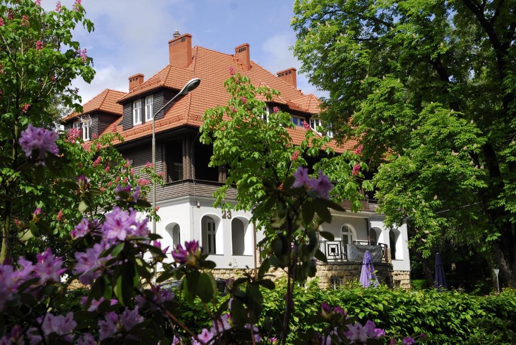 Zahrada ubytování Villa Lessing