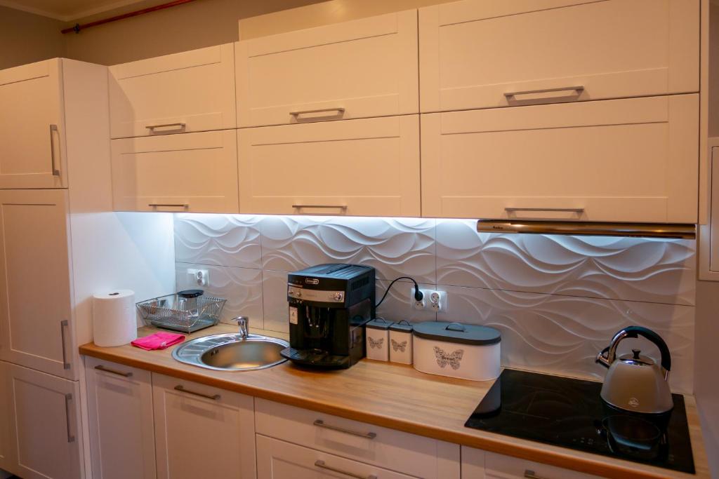 Kuchyňa alebo kuchynka v ubytovaní Apartament Przy Deptaku