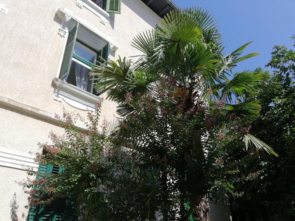 Apartment Nostalgie - 7