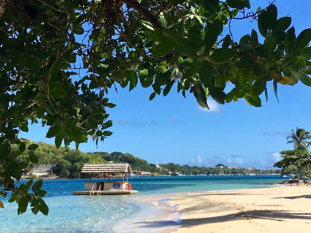 a boat in the water on a beach at Young Island Resort in Kingstown