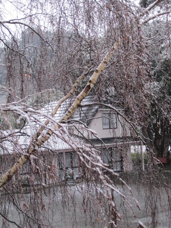 Camellia Court Motel - Resim 23