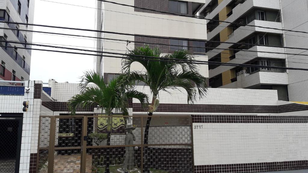 two palm trees in front of a building at Beira mar Olinda in Olinda