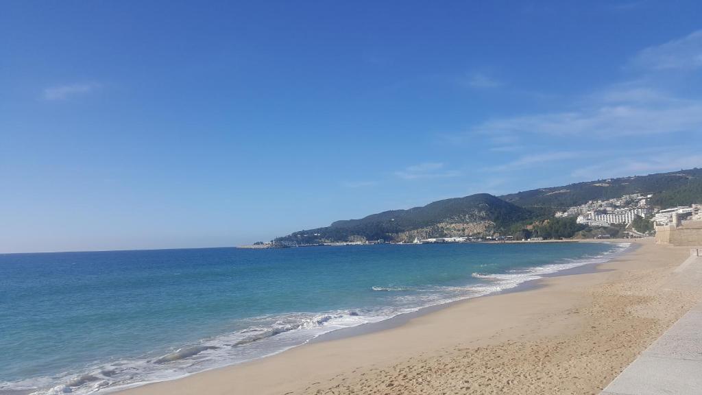 uma vista para uma praia com o oceano em Sesimbra California Beach Apartment em Sesimbra