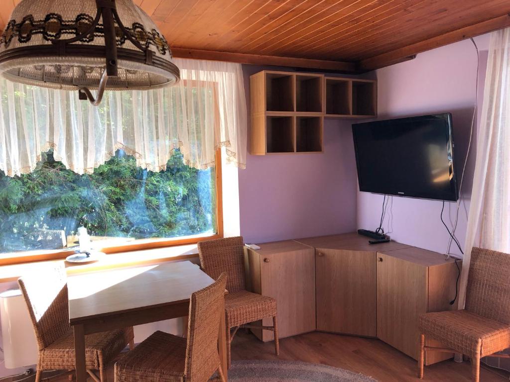 Televízia a/alebo spoločenská miestnosť v ubytovaní Glückliche Elfen