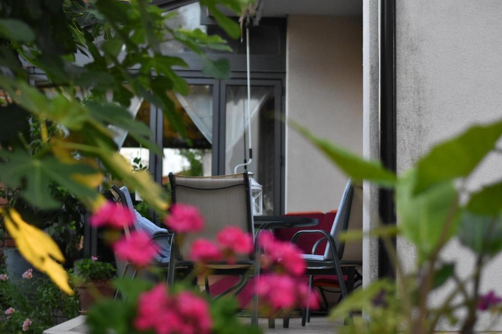 A garden outside Apartment Sopta