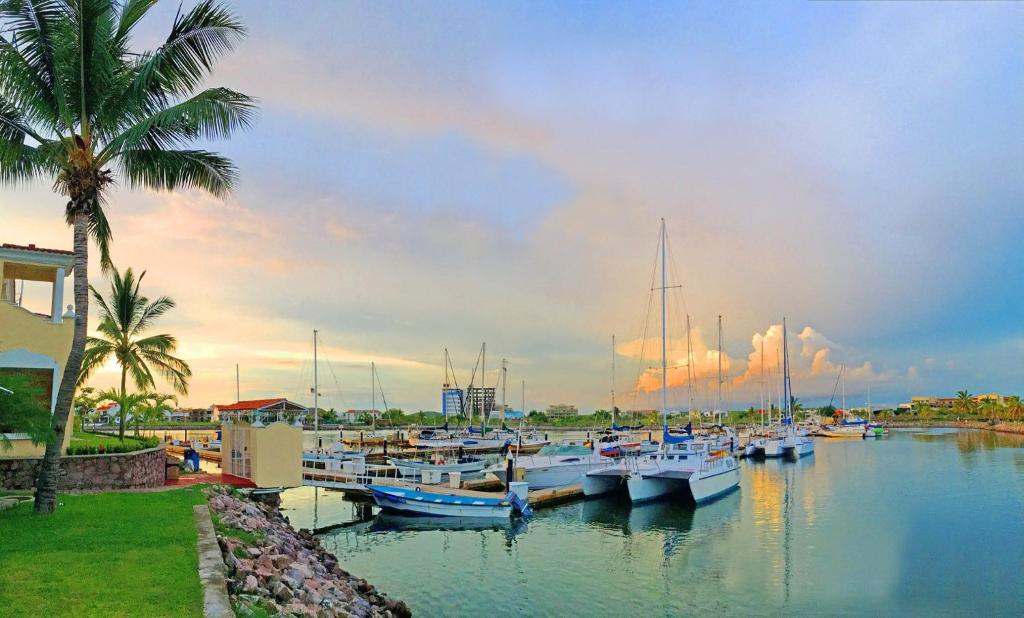 Galería de imágenes de este alojamiento