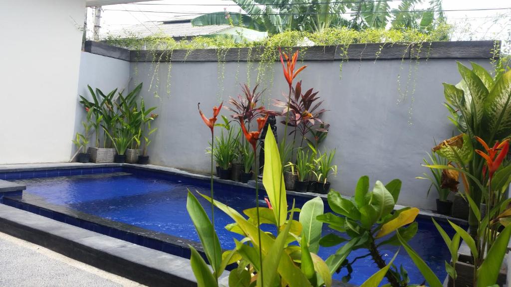 une piscine dans un jardin avec des plantes dans l'établissement Star Bali Guest House, à Canggu