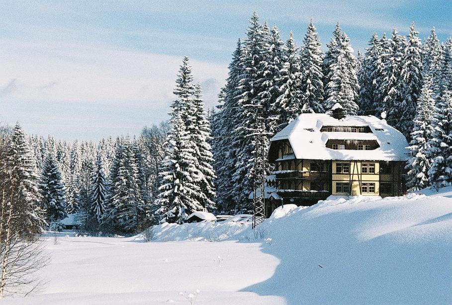 Hotel Modrava v zimě