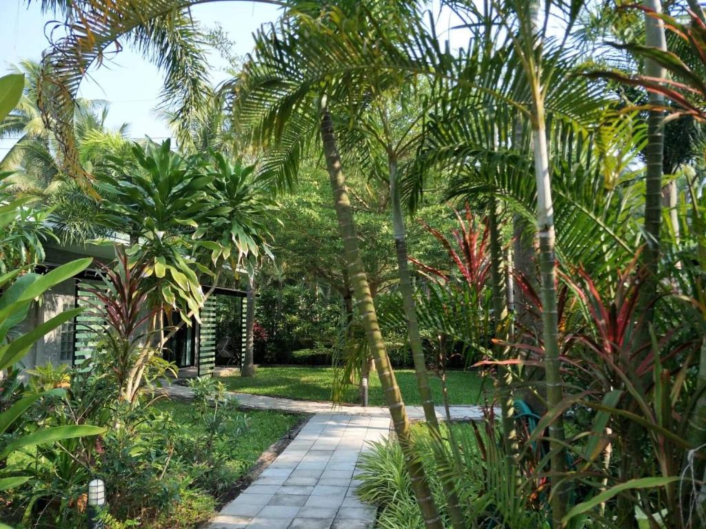 a garden with palm trees and a walkway at The Leaf Bankrut in Bang Saphan