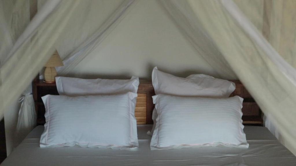 a bed with two white pillows in a room at LE TRANSAT in Ambatoloaka