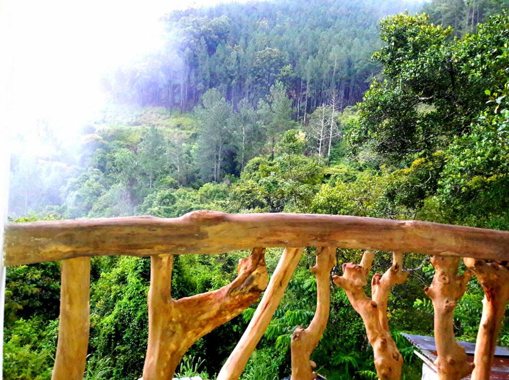 a view of a forest from a wooden bridge at Green Paradise in Ella