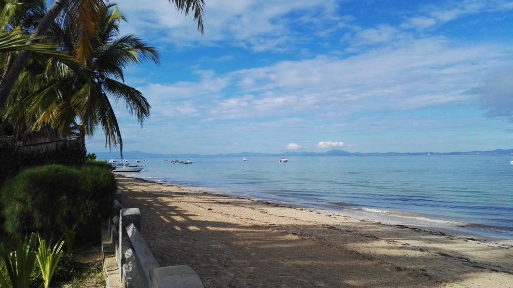 a sandy beach with palm trees and the ocean at LE TRANSAT in Ambatoloaka