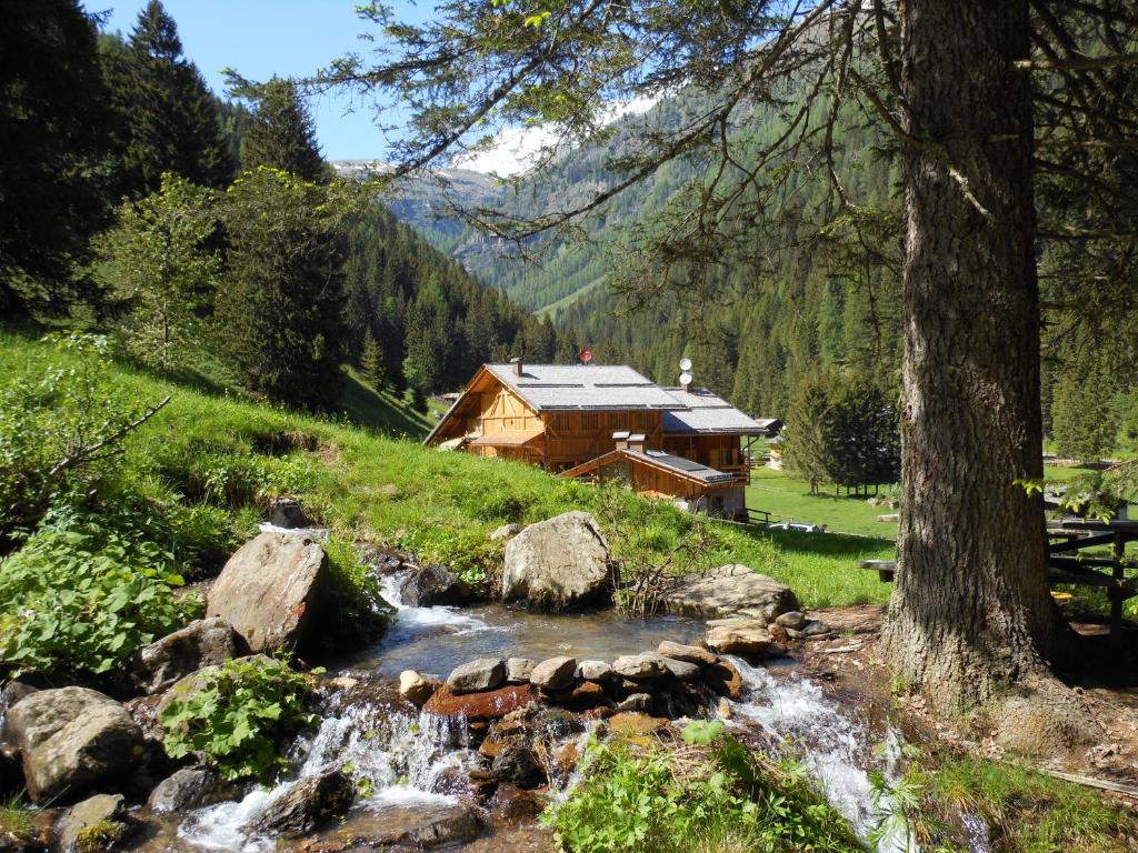 a log cabin in the mountains next to a stream at Maso Coler in Rabbi