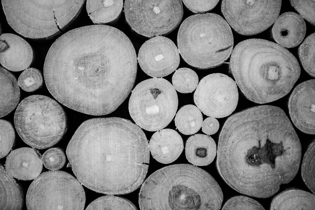 Sweet Home Naxos - 10