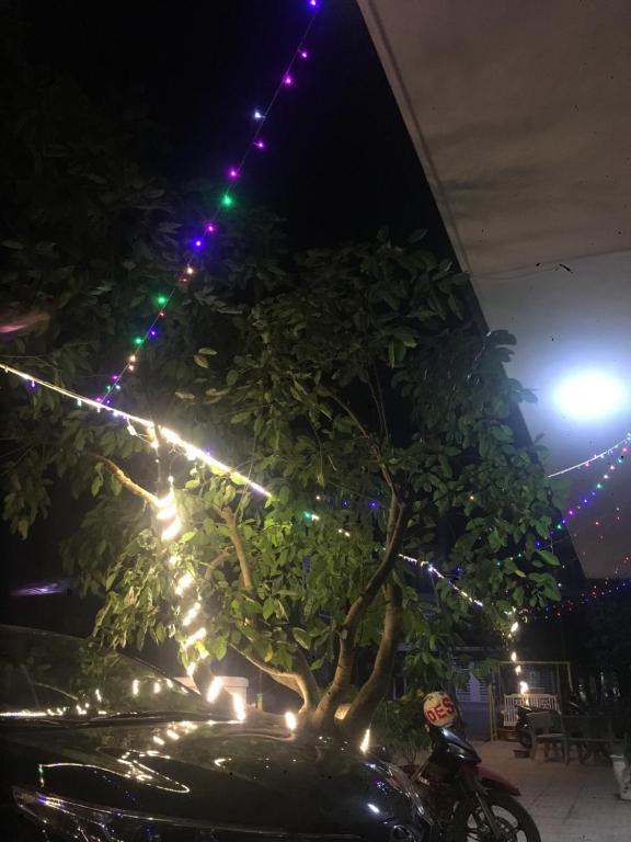 Fotografie z fotogalerie ubytování Hoang Minh 846 Hostel v destinaci Vũng Tàu