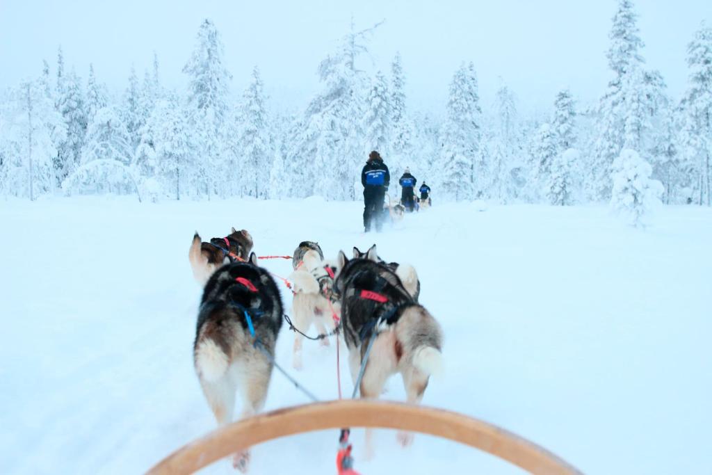 Holiday Club Salla Superior Apartments зимой