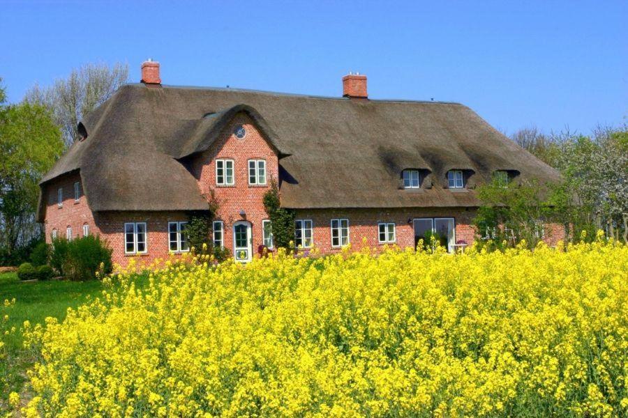 a house with a thatched roof and a field of yellow flowers at Alter-Gardinger-Deich-Wohnung-G-1 in Siekbüll