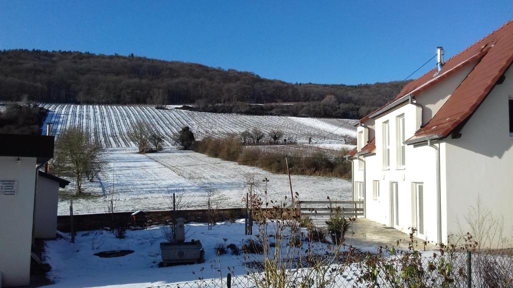 Blick auf ein schneebedecktes Feld mit einem Haus in der Unterkunft Aux vignes in Wissembourg