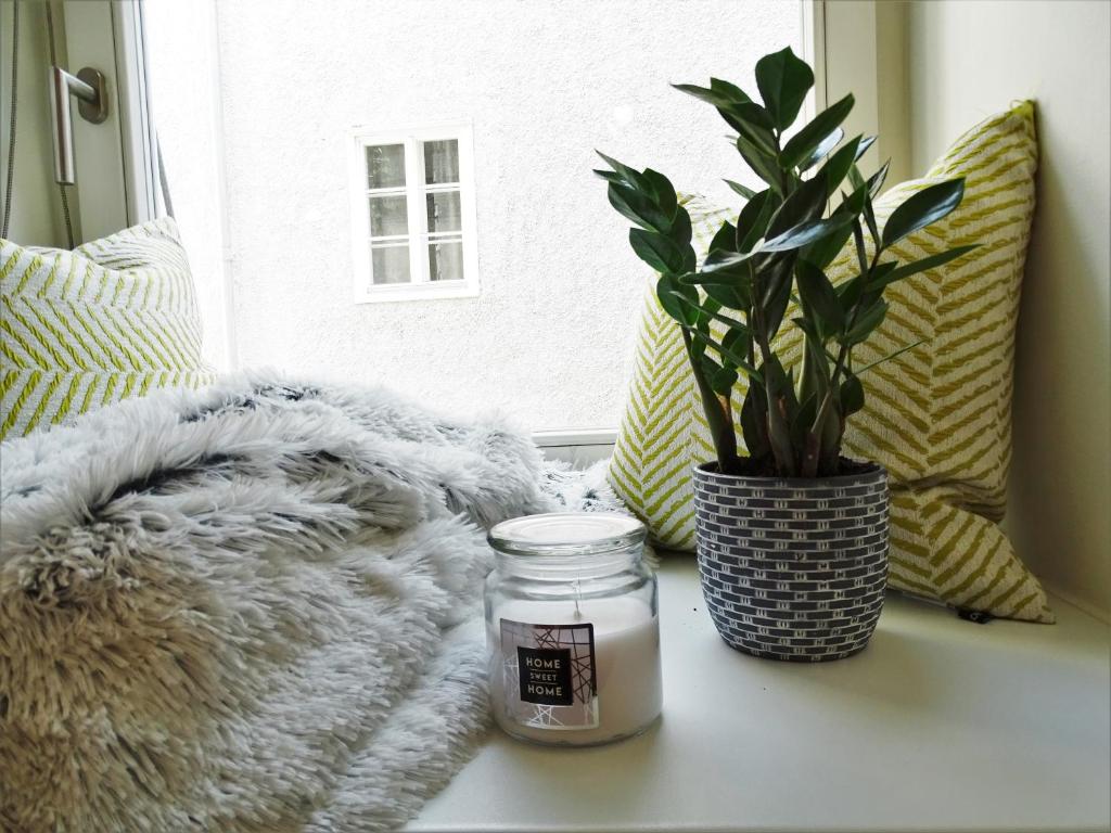 City by BestChoice - FREE Parking - Self Check-in - 7