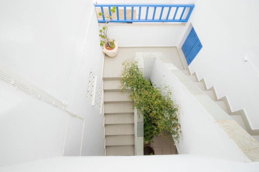 Fotografie z fotogalerie ubytování Hotel Sofia v destinaci Apollonia