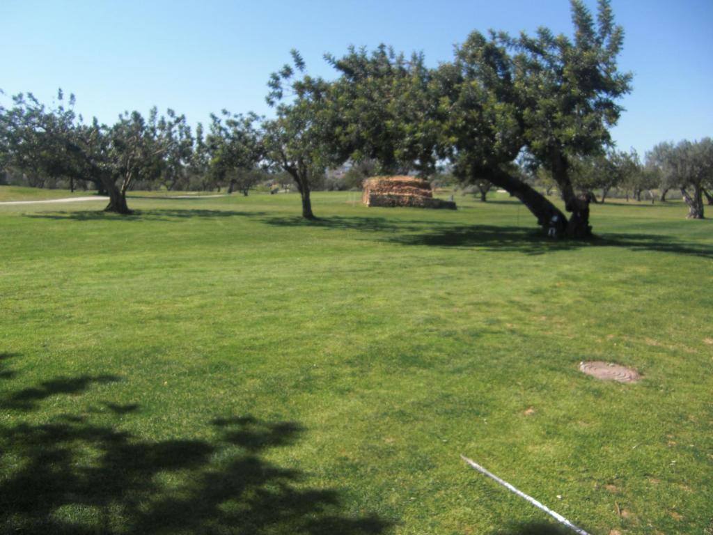 Vonkajšia záhrada v ubytovaní Ronda Barbiguera, 1 Aldea Golf apt 3210