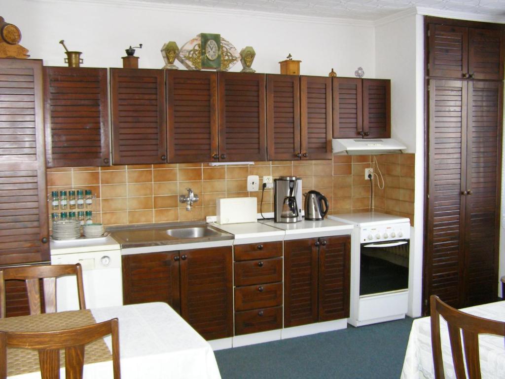 Kuchyň nebo kuchyňský kout v ubytování Pension Villa Hany