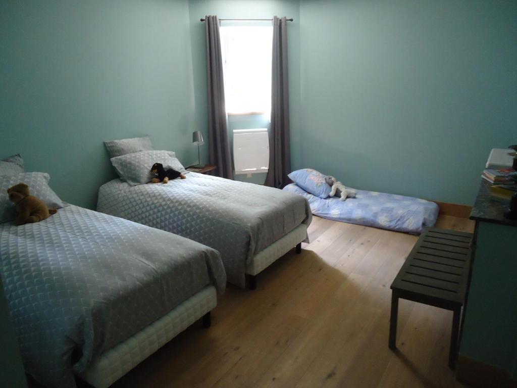 a bedroom with two beds and a mirror at La Maison des tilleuls in Entrains-sur-Nohain