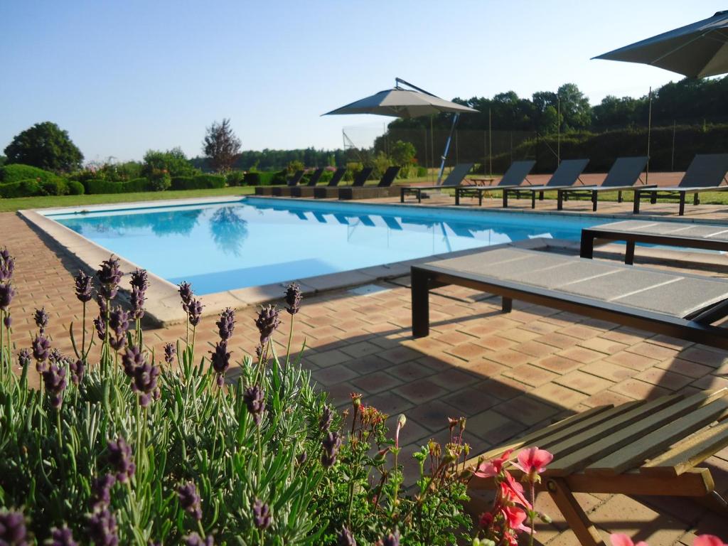 a swimming pool with benches and umbrellas at La Maison des tilleuls in Entrains-sur-Nohain