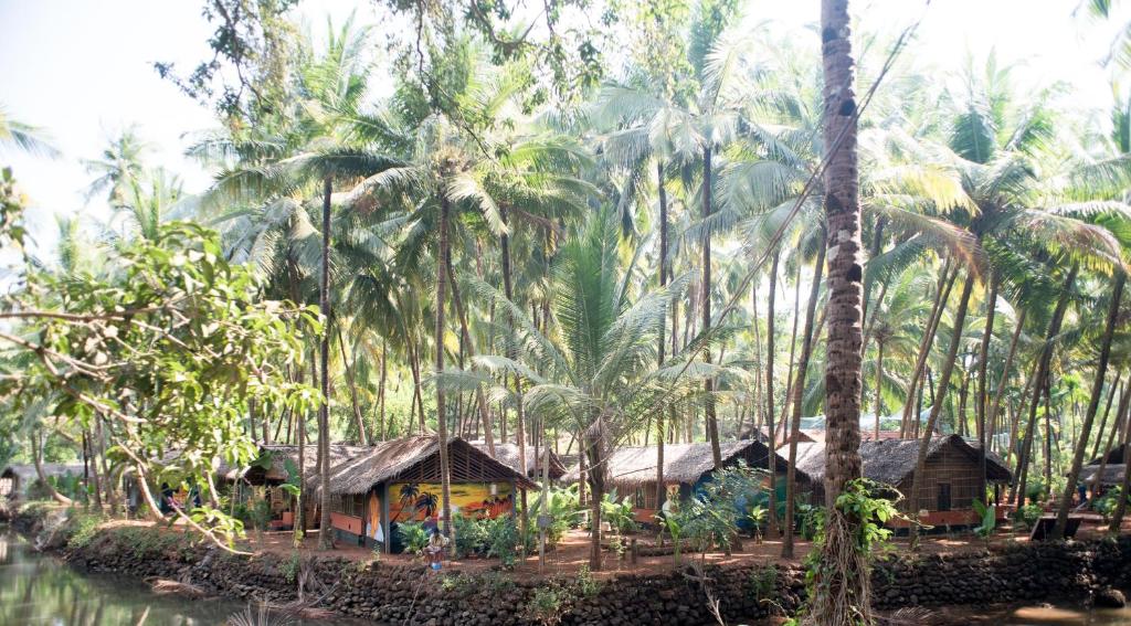 Zahrada ubytování Palm Trees Ayurvedic Heritage
