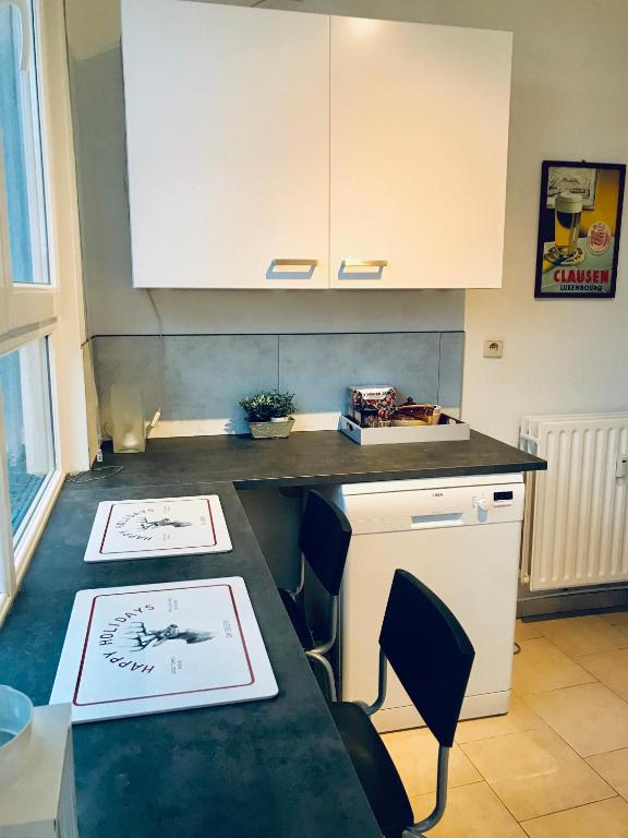 Kuchyň nebo kuchyňský kout v ubytování Gite Le Cerf Pantin