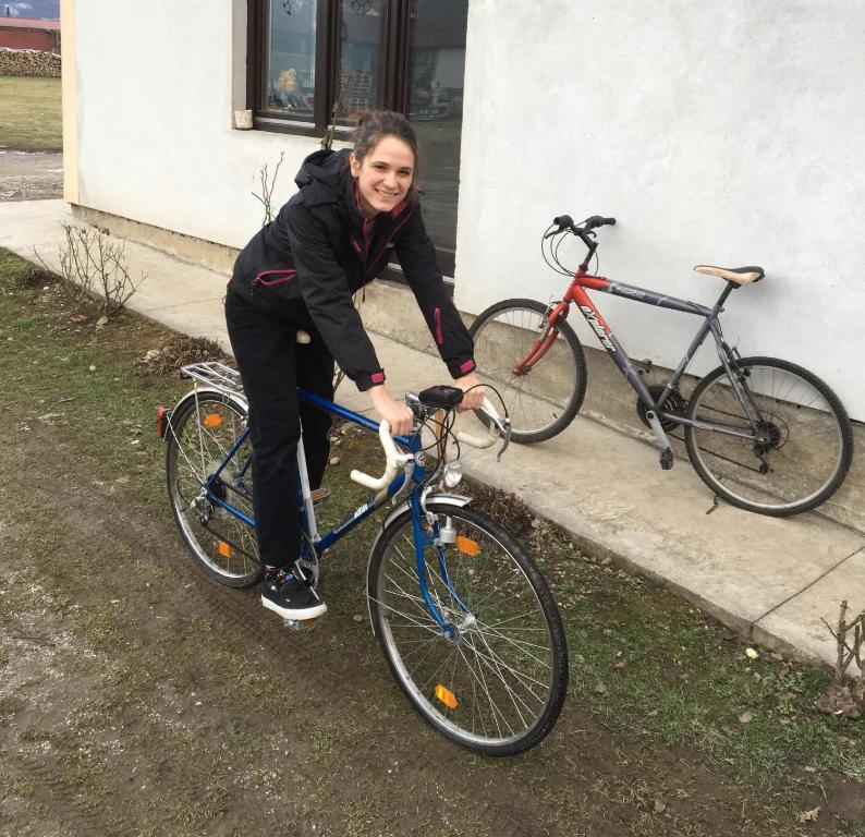 Jízda na kole v ubytování Zvezdica nebo okolí