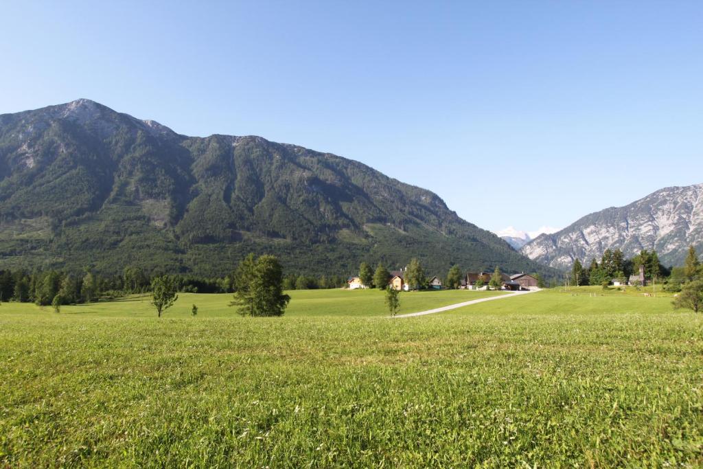 un campo de césped verde con montañas en el fondo en Haus Stangl en Bad Aussee