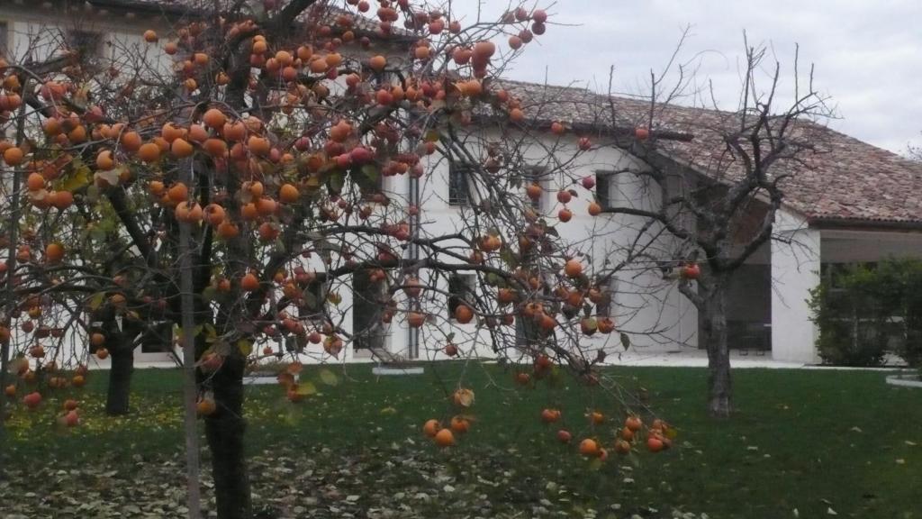 Zahrada ubytování Caspineda Agriturismo