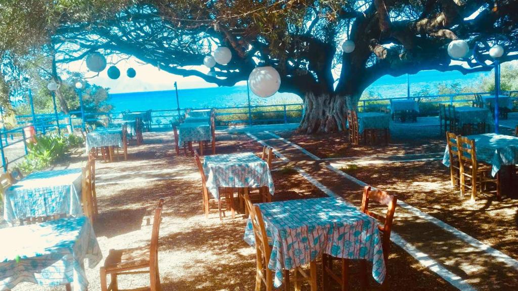 Fotografia z galérie ubytovania Camping Kato Alissos v destinácii Káto Alissós
