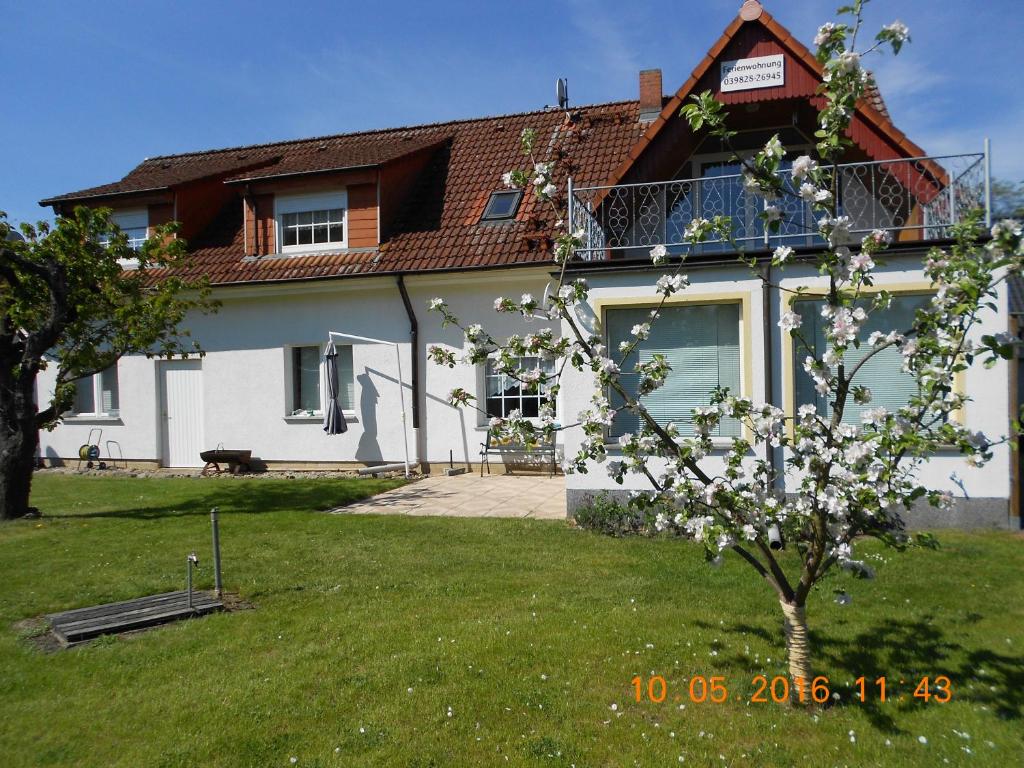 a house with a tree in front of it at Ferienwohnungen am Plätlinsee in Wustrow