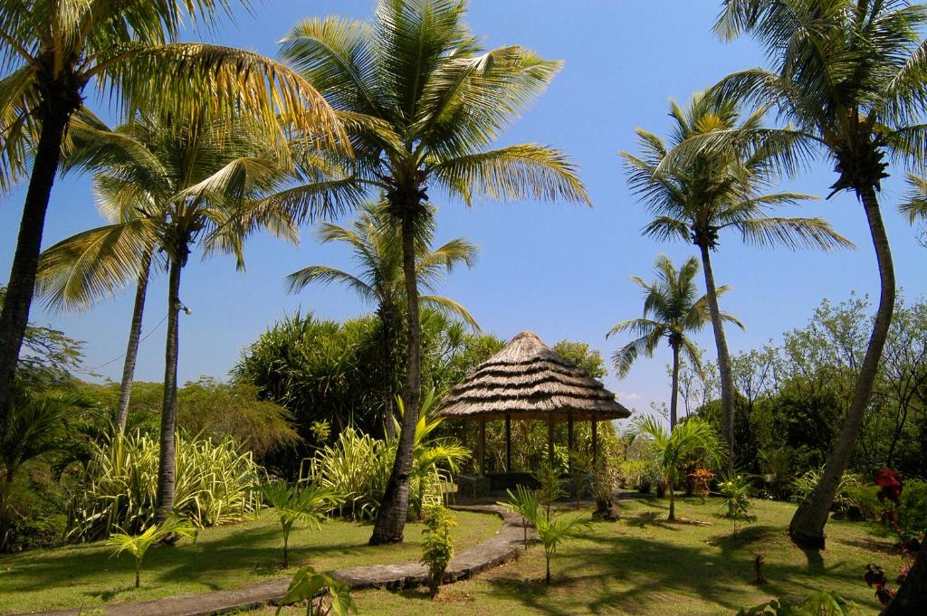 a group of palm trees and a gazebo at Young Island Resort in Kingstown
