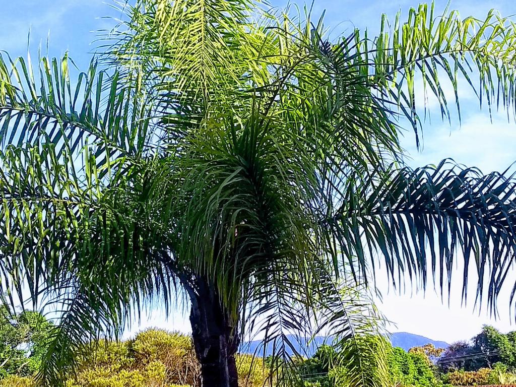  Sobrado Riviera