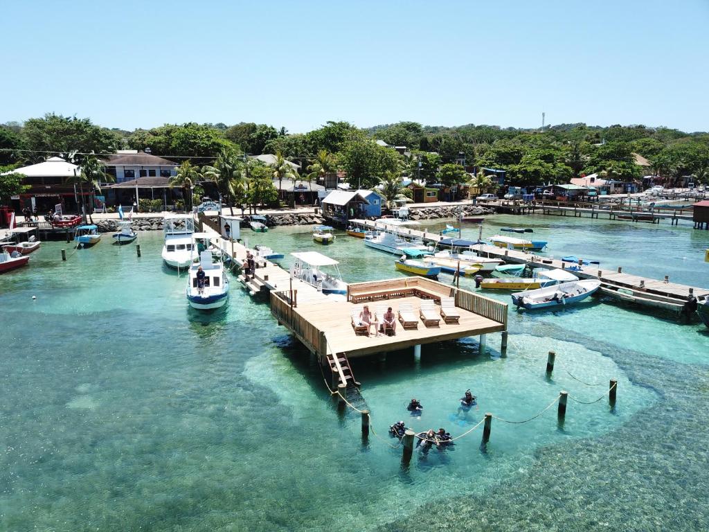 an aerial view of a marina with boats in the water at Splash Inn Dive Resort & Villas in West End