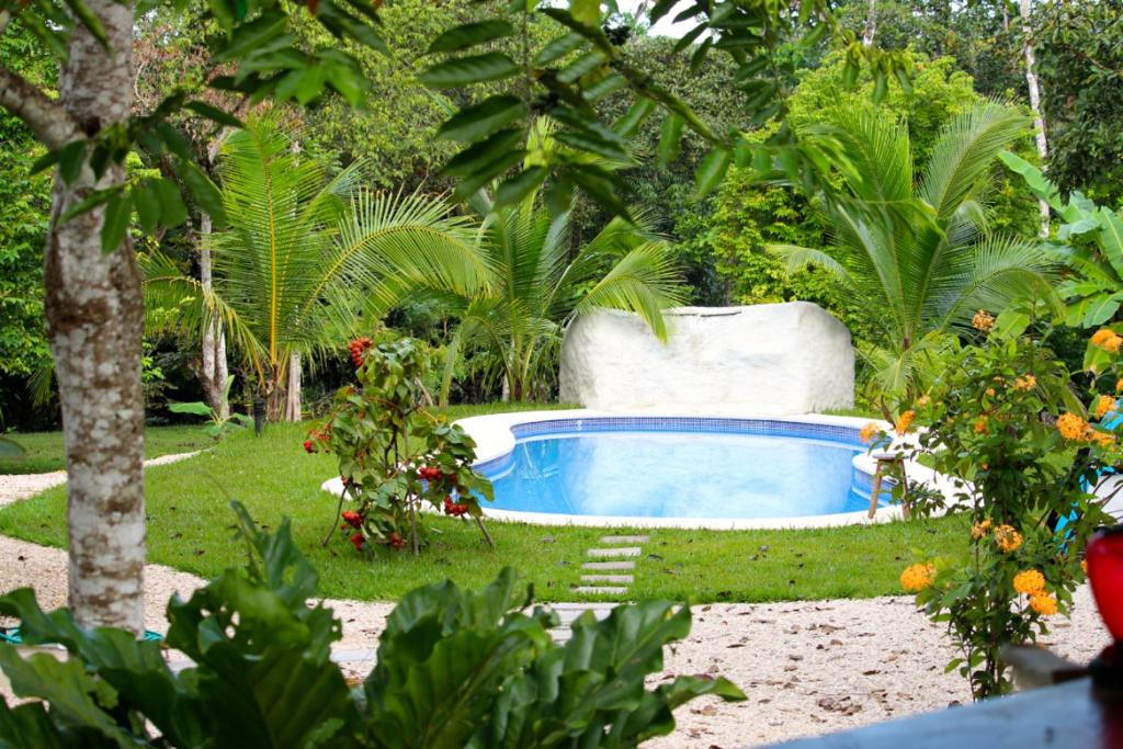 a swimming pool in a garden with trees and plants at Casa de la Naturaleza in Montezuma