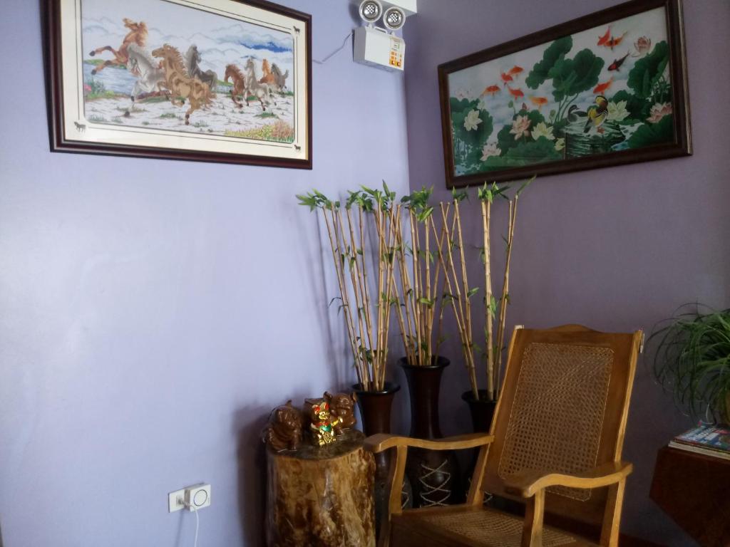 Posezení v ubytování Mayon Lodging House
