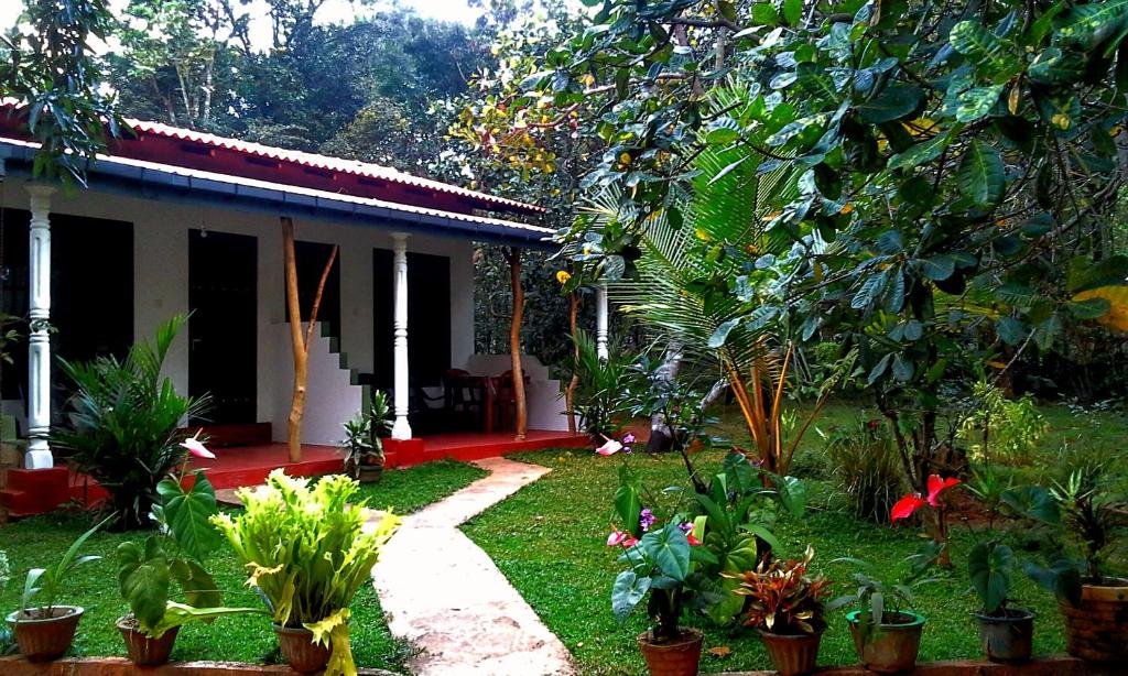 a house with a lot of plants in front of it at Nethmi Homestay in Sigiriya