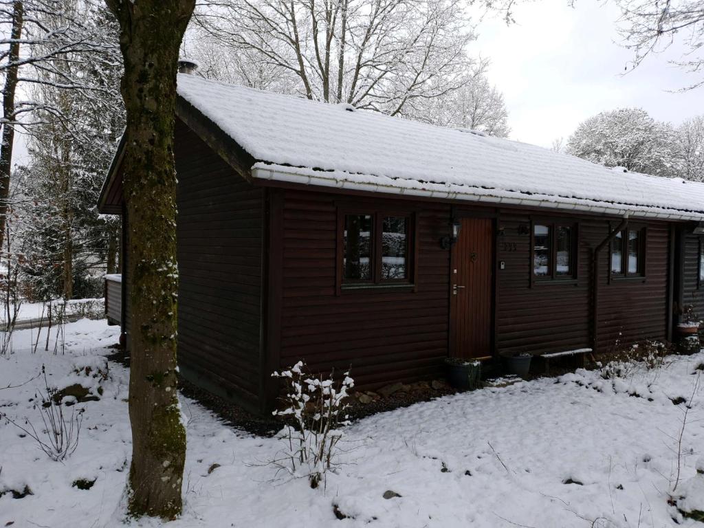 Ardennes v zimě