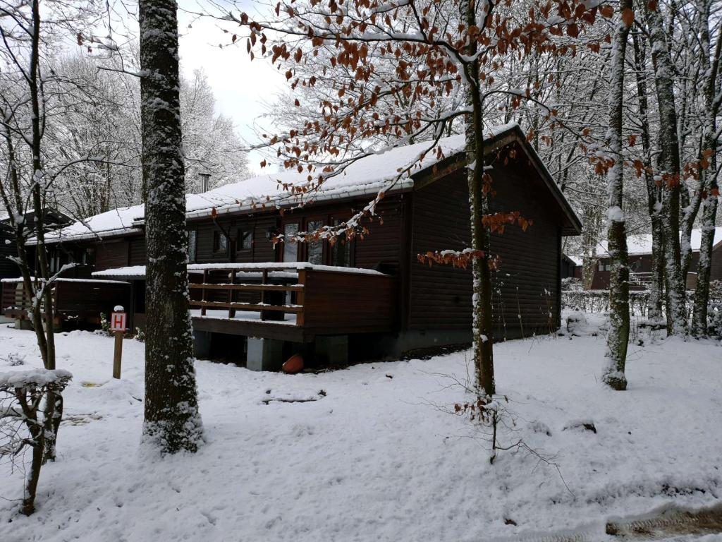 Ardennes v zimě