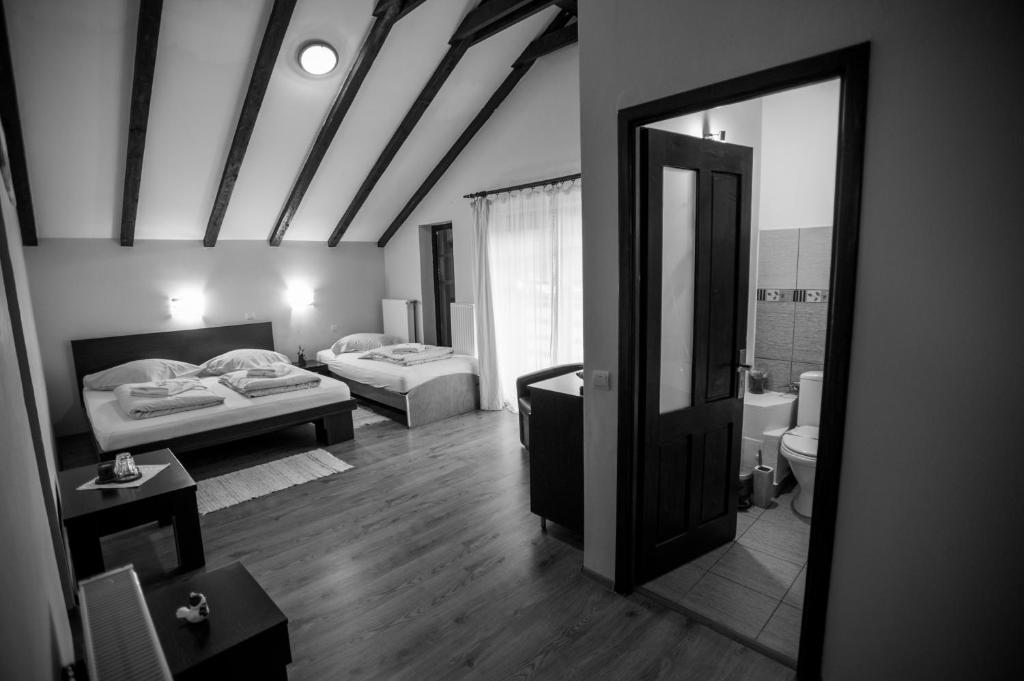 Afbeelding uit fotogalerij van Pensiunea Silba in Vad